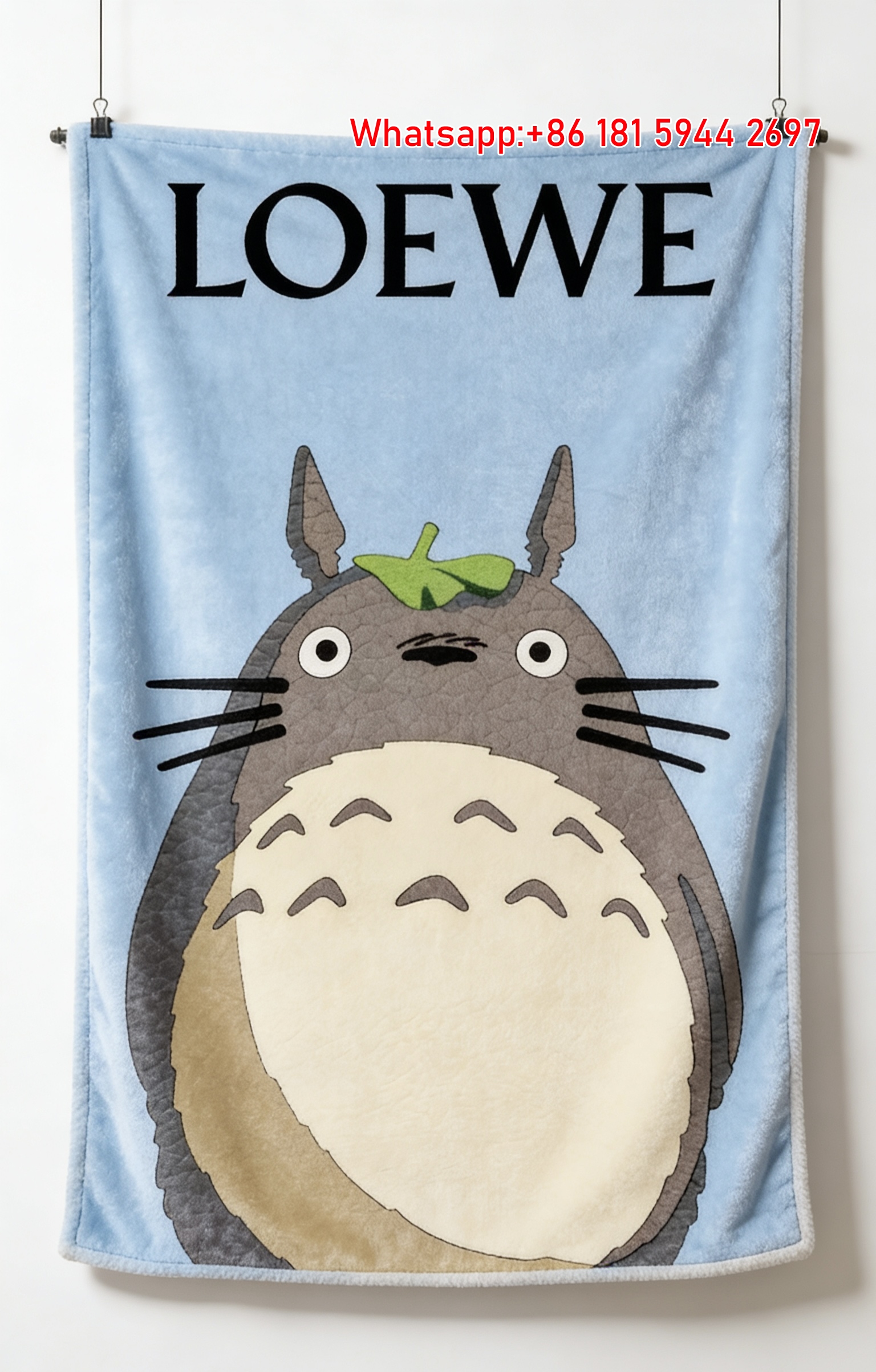 LOEWE Anime Print Flannel Throw Blanket for Sofa Bed L063